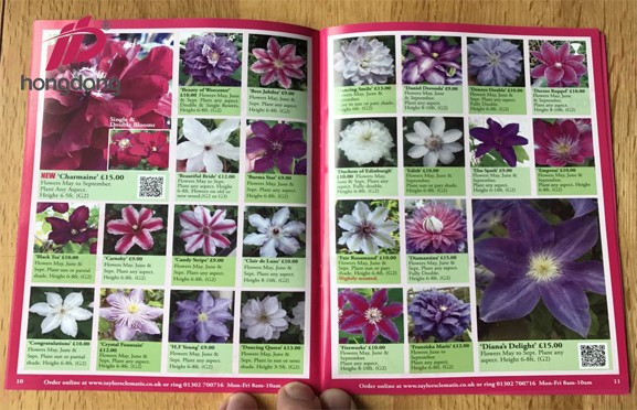 in catalog cửa hàng hoa