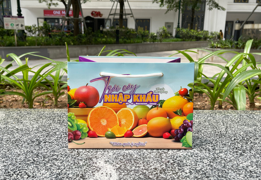 mẫu túi giấy đựng trái cây