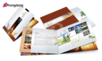 Hiển thị chi tiết cho In catalogue giá rẻ, uy tín và hỗ trợ thiết kế miễn phí ở đâu? Hình ảnh cho bài viết In catalogue giá rẻ, uy tín và hỗ trợ thiết kế miễn phí ở đâu?