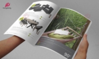 Hiển thị chi tiết cho Thiết kế in catalogue nội thất gỗ cao cấp Hình ảnh cho bài viết Thiết kế in catalogue nội thất gỗ cao cấp