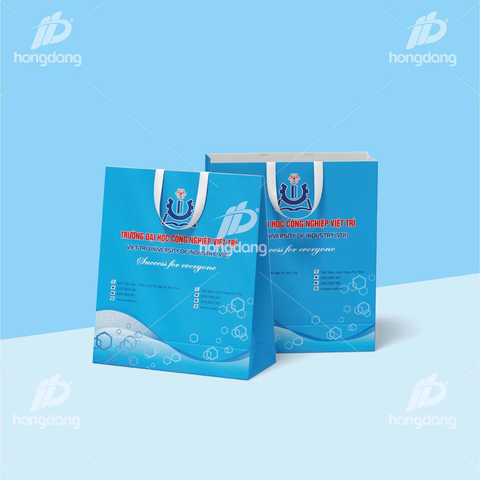 Mẫu túi giấy in logo cửa hàng tại Từ Liêm, Hà Nội