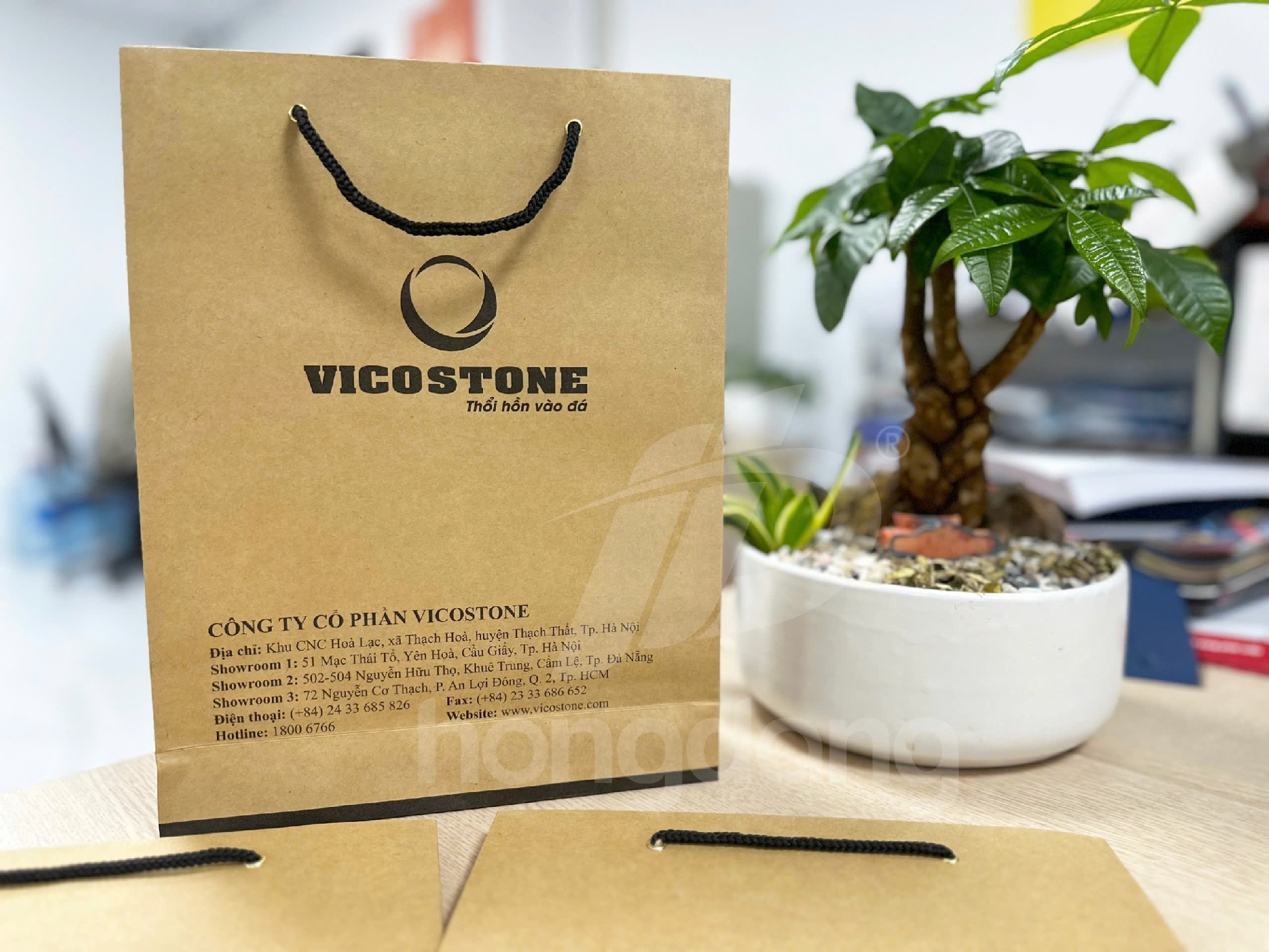 Túi giấy kraft in logo thương hiệu, bền đẹp, giá rẻ tại Hà Nội